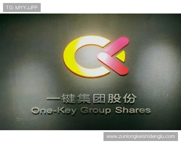 尊龙集团登录入口网站安全验证流程及账号保护措施详解